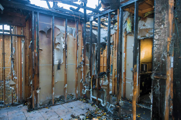 Professional Fire Damage Removal technician working in Knapp, WI