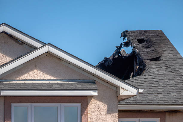Top rated local Fire Damage Removal specialists in Knapp, WI